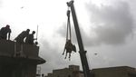 Sapi Kurban Bergelantungan di Karachi, Ada Apa?