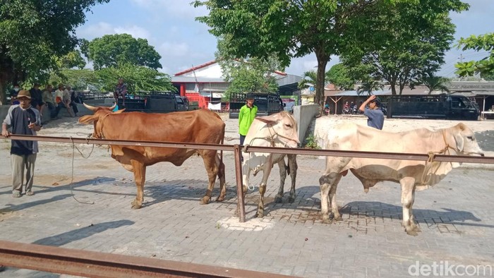 Suasana di Pasar Hewan Kecamatan Jatinom, Klaten, Senin (4/7/2022).