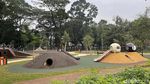 Foto: Rerumputan Tebet Eco Park Mulai Menghijau Kembali