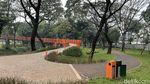Foto: Rerumputan Tebet Eco Park Mulai Menghijau Kembali
