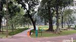 Foto: Rerumputan Tebet Eco Park Mulai Menghijau Kembali