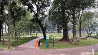 Tanaman hias di area basah Tebet Eco Park juga menjadi korban lain. Beberapa bagian tanaman hias itu botak karena diterjang pengunjung yang melompat dari atas geladak.