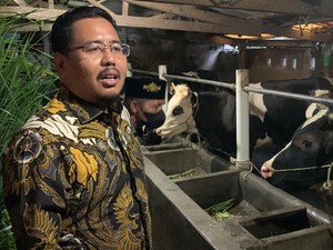 Curhat ke Wakil Ketua DPRD Jatim, Peternak Keluhkan Obat PMK-Konsentrat Mahal