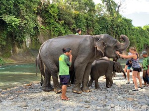 Kunjungan Turis Asing ke Sumut Meningkat, BPS: Sinyal Positif untuk Pariwisata