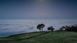 California Punya Negeri di Atas Awan Juga Lho