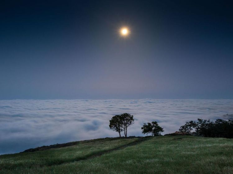 California Punya Negeri di Atas Awan Juga Lho