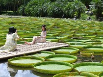 Kota di China Ini Bebas Visa untuk WNI Lho...