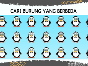 Tebak-tebakan untuk Si Paling Teliti, Bisa Sefokus Apa Mengamati?