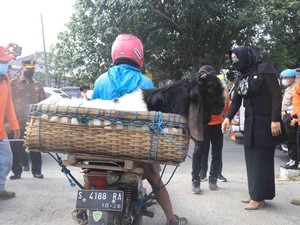 Jelang Idul Adha, Bupati Mojokerto Cek Kesiapan Pasar Hewan