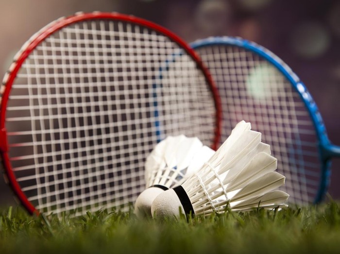 Badminton shuttlecock