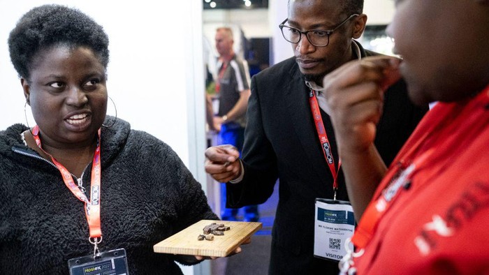 Menjajal Cacing Mopane, Camilan Kaya Protein dari Afrika Selatan A vendor (L) interacts with attendees as they taste mopani worm chocolate at the Hostex food Expo in Sandton on June 27, 2022. - A South African start-up entrepreneur is changing the way people view and eat protein- and iron-packed mopane caterpillars.
For the past seven months Wendy Vesela has been cooking up a culinary buzz selling iron-packed insects caterpillars known as mopane worms in wafer-like biscuits, energy bars, or as a pizza topping.
The 40-year-old chemical engineer found creative ways to serve the spiky black and green caterpillars that some people find gross.
She is selling them at home and abroad in trendy packaging as dried whole mopanes, but also as a milled flour that can be substituted for protein powder as well as a savory biscuit and sweet chocolate protein bar. (Photo by EMMANUEL CROSET / AFP) (Photo by EMMANUEL CROSET/AFP via Getty Images)