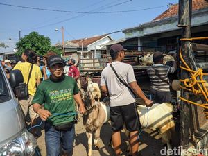Imbas PMK, Warga di Ponorogo Lebih Pilih Kambing untuk Kurban