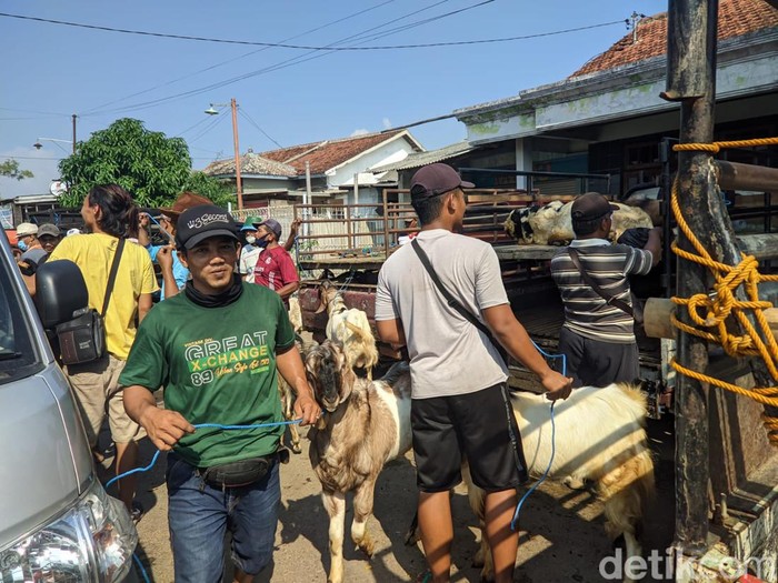 Pasar kambing Jetis Ponorogo