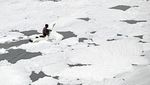 Mencari Uang Logam di Lautan Busa Sungai Yamuna India