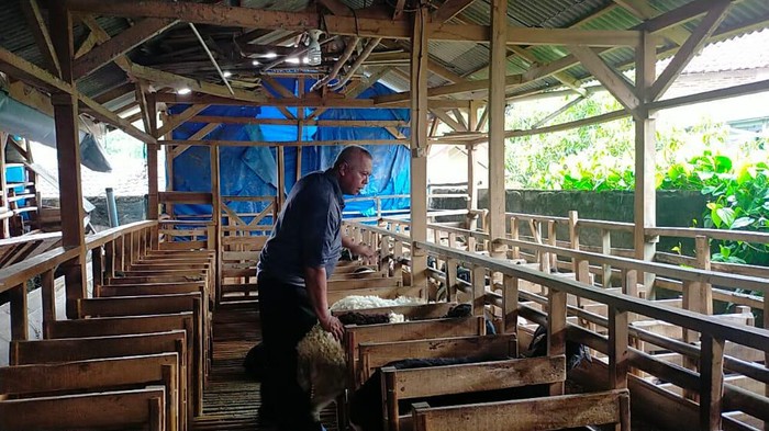Penjual hewan ternak di Lebak, Banten (Fathul-detikcom)