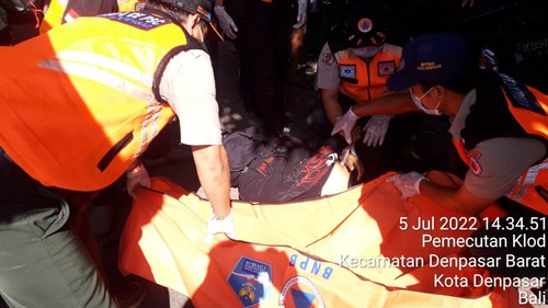 Pohon lapuk tumbang menimpa sejumlah pengendara di Jalan Gunung Soputan, Kota Denpasar, Bali, Selasa (5/7/2022).