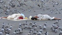 Burung merpati mengelilingi jemaah haji yang tidur di luar Masjidil Haram, Mekkah, Arab Saudi, Selasa (5/7/2022).  