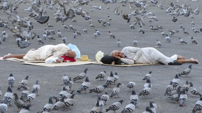Pigeons surround pilgrims outside the the Grand Mosque in the Saudi Arabia's holy city of Mecca, Tuesday, July 5, 2022. Saudi Arabia is expected to receive one million Muslims to attend Hajj pilgrimage, which will begin on July 7, after two years of limiting the numbers because coronavirus pandemic. (AP Photo/Amr Nabil)