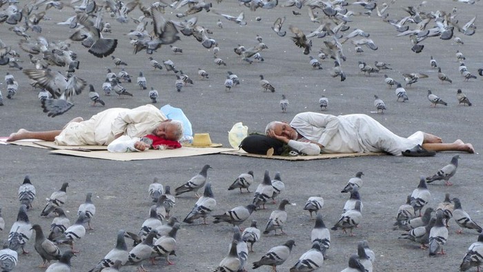Potret Jemaah Haji Tidur di Jalanan Kota Mekkah Pigeons surround pilgrims outside the the Grand Mosque in the Saudi Arabia's holy city of Mecca, Tuesday, July 5, 2022. Saudi Arabia is expected to receive one million Muslims to attend Hajj pilgrimage, which will begin on July 7, after two years of limiting the numbers because coronavirus pandemic. (AP Photo/Amr Nabil)