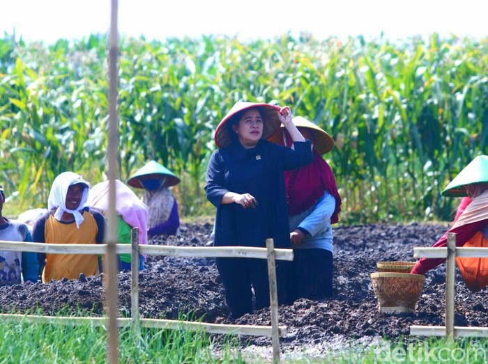 Puan Maharani di Brebes, Selasa (5/7/2022).