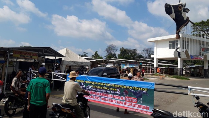 Puluhan pedagang sapi mendatangi Pasar Hewan Jelok, Kecamatan Cepogo, Boyolali, Selasa (5/7/2022).
