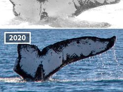 Foto Perbandingan Dulu dan Sekarang yang Mencengangkan