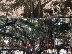 Foto Perbandingan Dulu dan Sekarang yang Mencengangkan