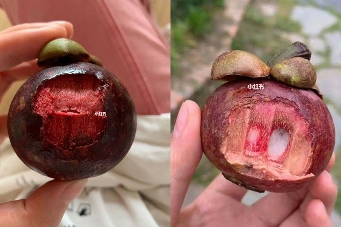 Salah Kaprah, Cara Orang Cicip Buah Pertama Kali Ini Undang Tawa