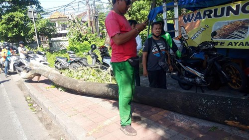 Salah satu motor yang tertimpa pohon tumbang di Jalan Gunung Soputan, Kota Denpasar, Bali, Selasa (5/7/2022).