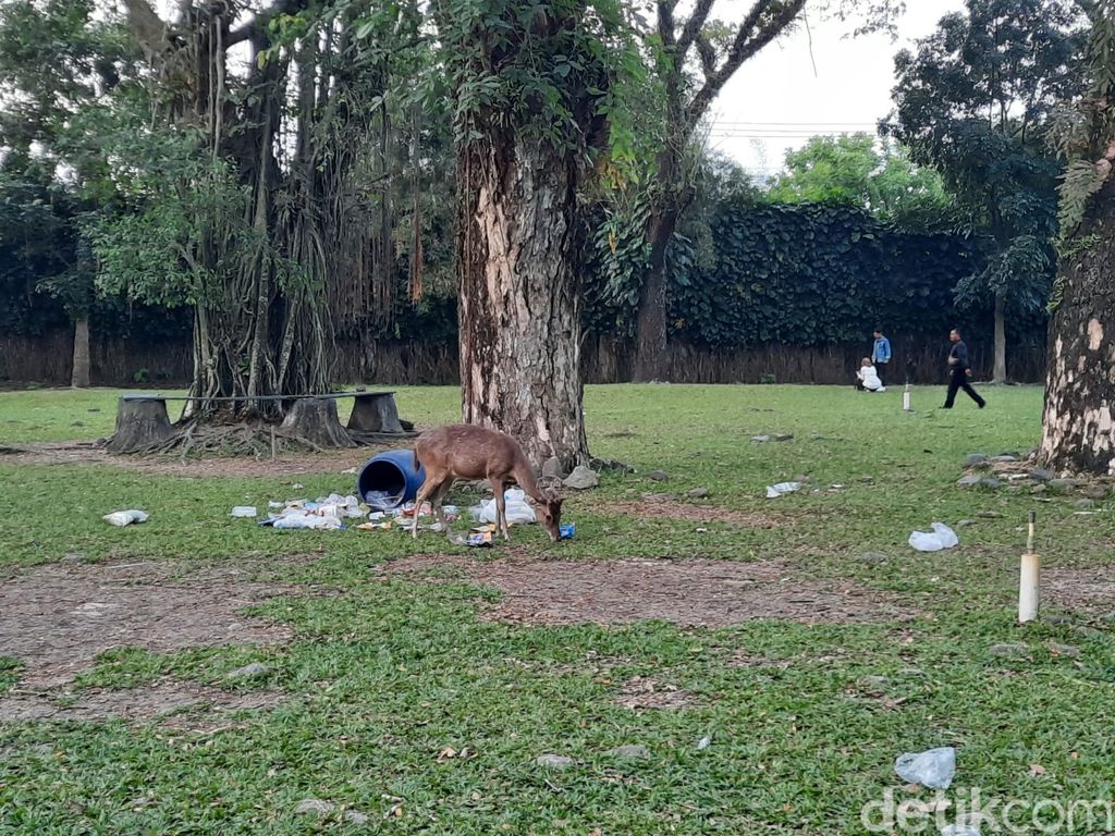 Sampah berserakan di Taman Balekambang