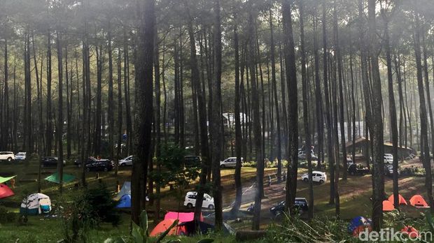 Menikmati suasana pagi di Camping Ground CIkole, Lambang, Bandung
