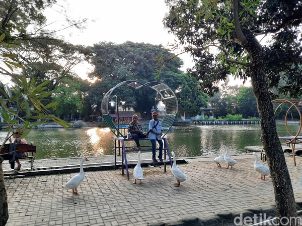 Meskipun ramai, suasana tetap terasa syahdu karena area taman memiliki luas lebih dari 9 hektar dan didominasi pepohonan. Foto: Putu Intan/detikcom Meskipun ramai, suasana tetap terasa syahdu karena area taman memiliki luas lebih dari 9 hektar dan didominasi pepohonan. Foto: Putu Intan/detikcom