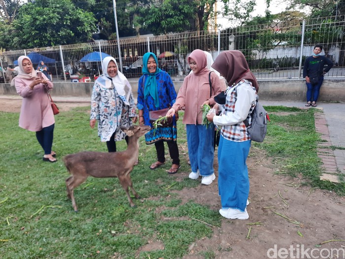 Taman Balekambang di Solo