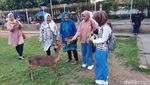 Taman Balekambang Solo Ramai Lagi Usai Renovasi