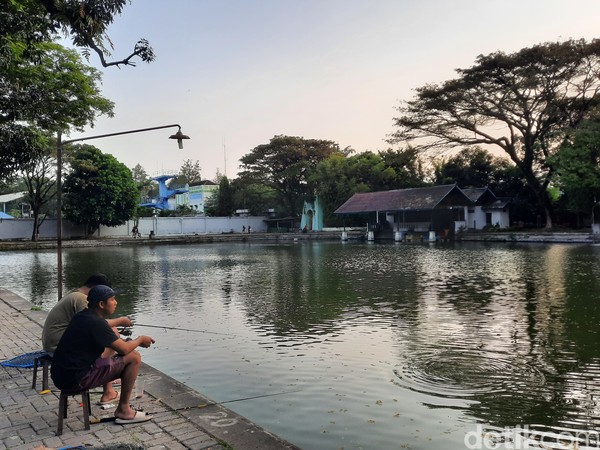 Kegiatan yang juga digemari pengunjung adalah memancing ikan. Namun ada aturan setelah memancing, ikan harus dilepaskan kembali. Foto: Putu Intan/detikcom Kegiatan yang juga digemari pengunjung adalah memancing ikan. Namun ada aturan setelah memancing, ikan harus dilepaskan kembali. Foto: Putu Intan/detikcom