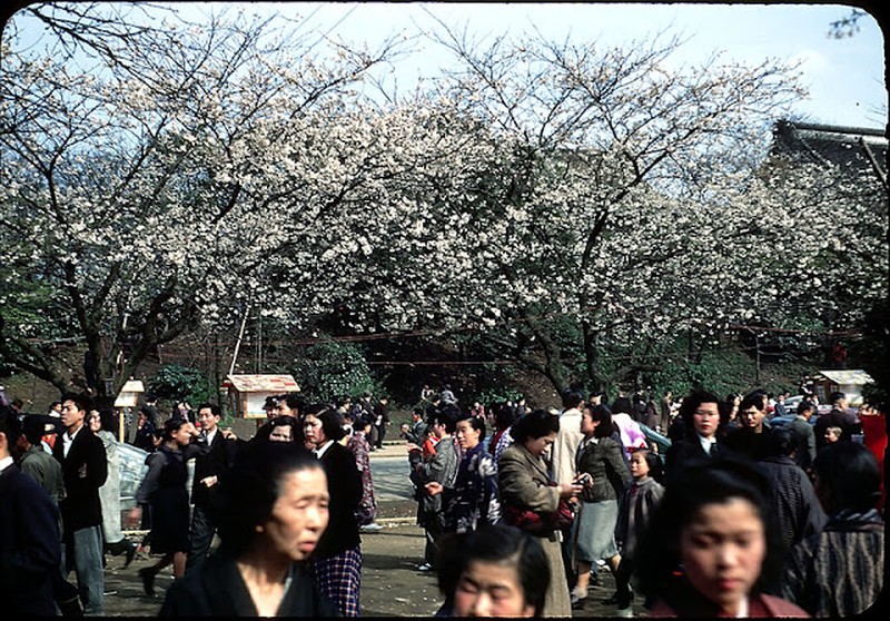 Tokyo tahun 1950-an