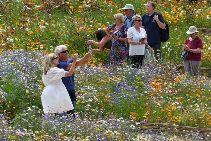 LONDON, ENGLAND - JULY 04: Visitors take photographs and enjoy the flowers planted in the moat area at the Tower of London on July 04, 2022 in London, England. In honour of the Queens Platinum Jubilee year, the Tower has sown 20 million seeds in its moat to create a landscape of wildflowers that show their various colours throughout the summer. (Photo by Leon Neal/Getty Images)
