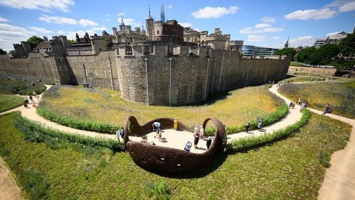 LONDON, ENGLAND - JULY 04: Visitors take photographs and enjoy the flowers planted in the moat area at the Tower of London on July 04, 2022 in London, England. In honour of the Queens Platinum Jubilee year, the Tower has sown 20 million seeds in its moat to create a landscape of wildflowers that show their various colours throughout the summer. (Photo by Leon Neal/Getty Images)