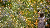 Menikmati Keindahan Warna-warni Bunga Bermekaran di Menara London