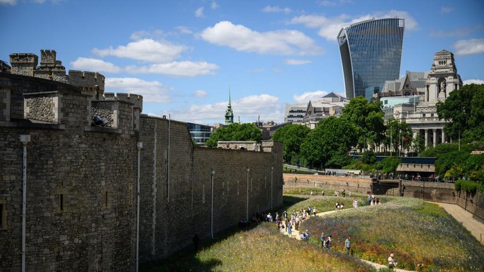 LONDON, ENGLAND - JULY 04: Visitors take photographs and enjoy the flowers planted in the moat area at the Tower of London on July 04, 2022 in London, England. In honour of the Queen's Platinum Jubilee year, the Tower has sown 20 million seeds in its moat to create a landscape of wildflowers that show their various colours throughout the summer. (Photo by Leon Neal/Getty Images)