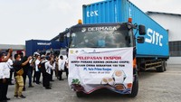 PT APK mengekspor 162 ton serpih porang kering ke China.