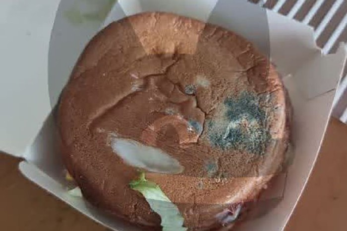 Beli Burger di McDonalds Rusia, Pembeli Ini Dapat Burger yang Rotinya Berjamur