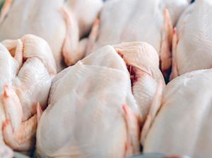 Ini 7 Kesalahan Memasak Ayam yang Sering Dilakukan