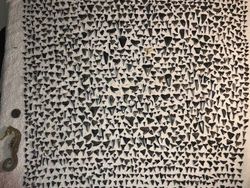 Potret Benda Koleksi Paling Unik yang Diposting Netizen di Medsos