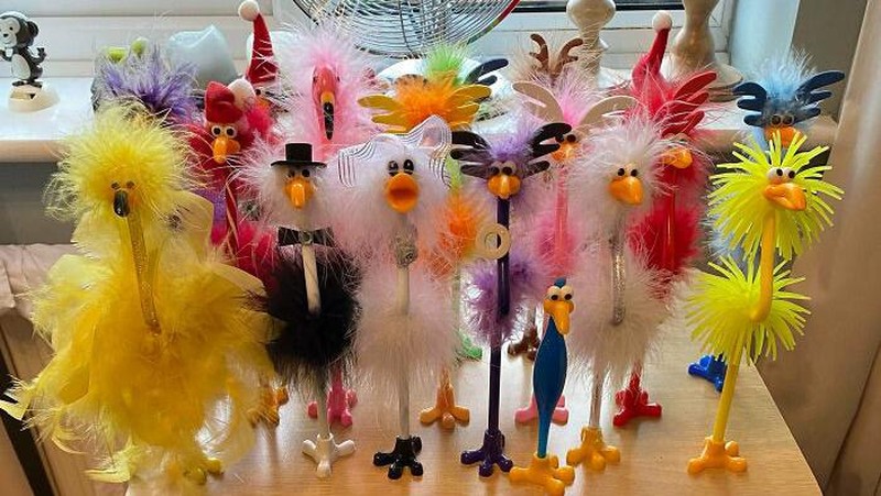 Deretan Koleksi Unik Netizen