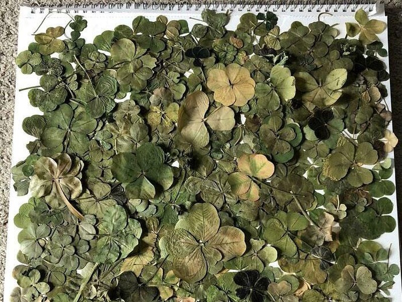 Deretan Koleksi Unik Netizen