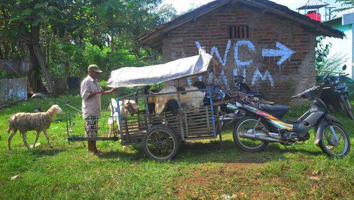 Penyedia jasa ojek kambing bersiap membawa kambing dengan gerobak di pasar hewan Jurang, Kudus, Jawa Tengah, Rabu (6/7/2022). Menjelang hari raya Iduladha jasa ojek pengantar kambing dari pembeli sampai ke tempat tujuan dengan upah Rp20 ribu hingga Rp50 ribu per ekor tergantung jarak tempuh itu peminatnya naik hingga 50 persen dibanding hari biasa. ANTARA FOTO/Yusuf Nugroho/foc.
