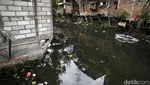 Foto-foto Kali Duri Kosambi Jakarta yang Hitam dan Dipenuhi Sampah