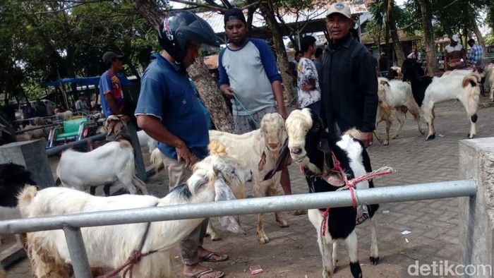 Kambing mendominasi pasar hewan di Pasuruan