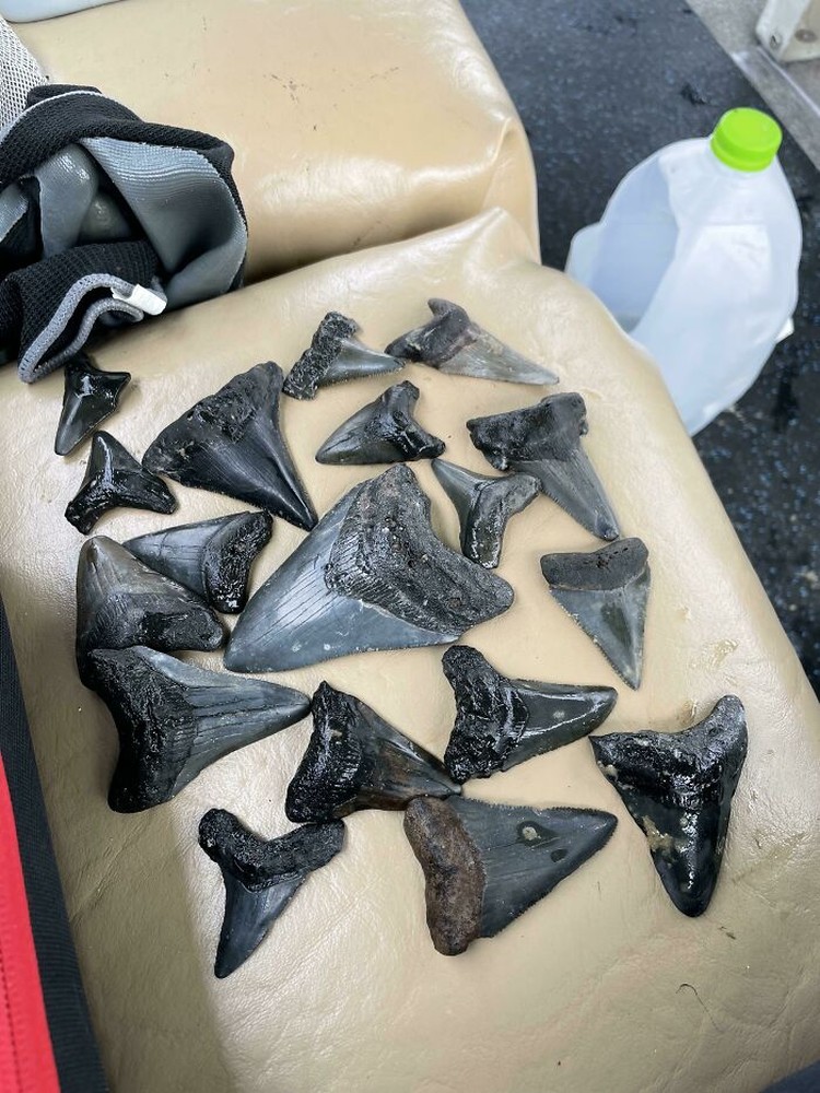 Koleksi Super Unik Koleksi Super Unik